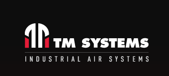 logo tmsystem