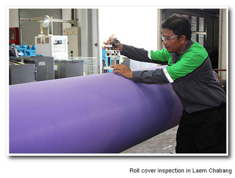 valmet roll inspection