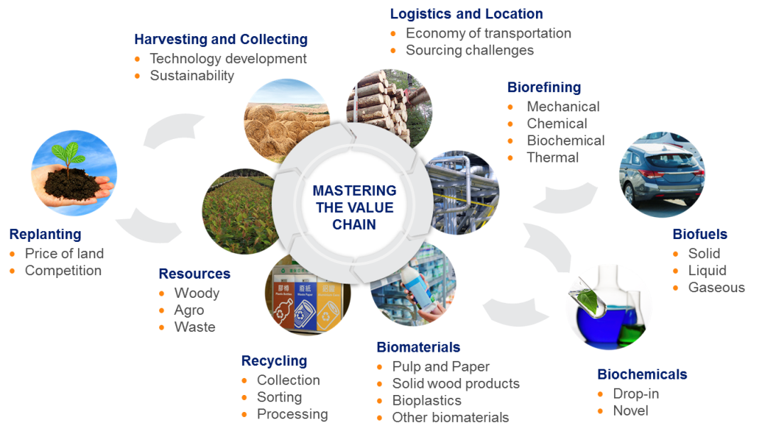 bioeconomy value chain