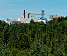 The new owners of Terrace Bay Pulp will produce paper-grade pulp and gradually convert to dissolving pulp production. Photo courtesy Doug Gibbons Photography. terr web_opt