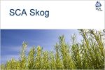 SCA's Forests Achieve PEFC Certification